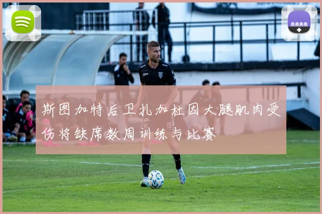 斯图加特后卫扎加杜因大腿肌肉受伤将缺席数周训练与比赛